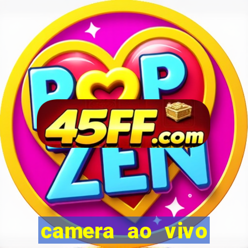 camera ao vivo beto carrero